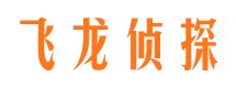 长岭飞龙私家侦探公司